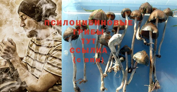 мет Новозыбков