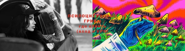 мяу мяу мука Новодвинск