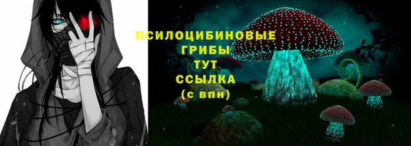 мет Новозыбков