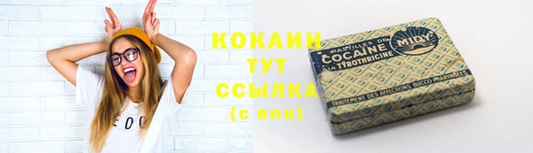 мет Новозыбков