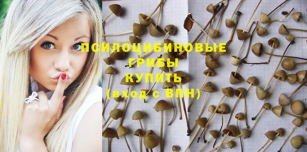 мет Новозыбков