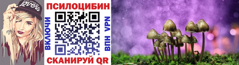 Галлюциногенные грибы мухоморы  купить наркотик  Чекалин 